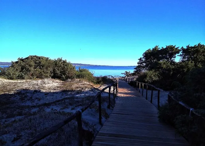 Comfy X5 - W/ Terrace *